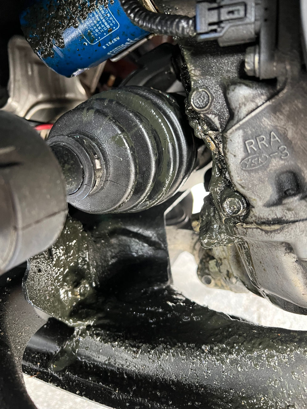 Torn CV boot, discovered the day before a track event.