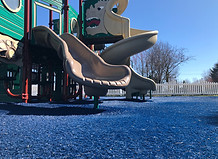 IMG_2487.jpg
