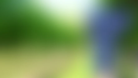 Cultivating the Fruit of the Spirit