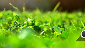 Real Fellowship: The Secret to Healthy, Rapid Spiritual Growth