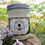 Thumbnail: Grass Is Greener  | Grass and Pine | 8oz. Soy Candle