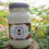 Thumbnail: Everything Nice | Pumpkin and Spice | 16oz. Soy Candle