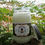 Thumbnail: Grass Is Greener  | Grass and Pine | 16oz. Soy Candle