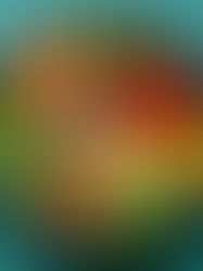 ¿Por qué mi ciclo está desordenado? Claves para recuperar tu ritmo hormonal desde la raíz