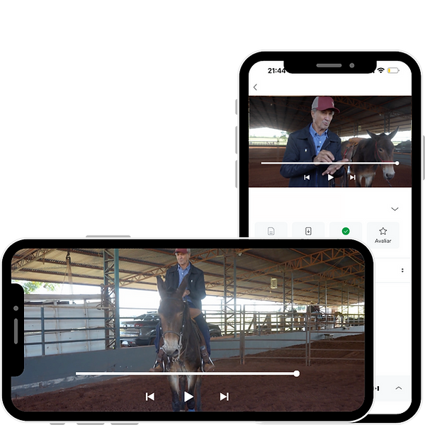 Copy of Untitled Design_edited.png