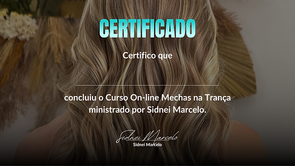 Copy of Sidnei Marcelo - novo livro (1080 x 1080 px) (Website) (2).png