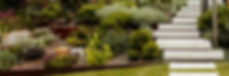 Hero-full-plants-steps.jpg