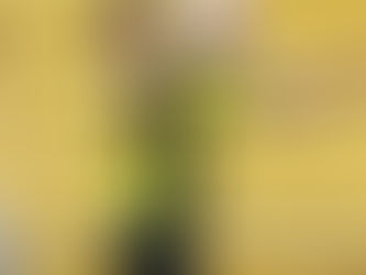 Tim Payne confirmed to Sth America transfer