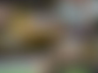 Hurricanes beat Blues, Crusaders downed