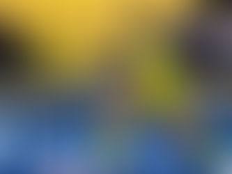 Mackenzie Barry staying at Wellington Phoenix 