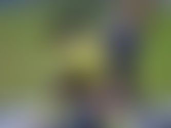 Phoenix Women miss chance to for top spot