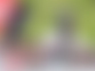 Veteran Bennett claims second NZ Road Cycling title