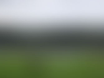 Eden Park to host OFC Pro League finals