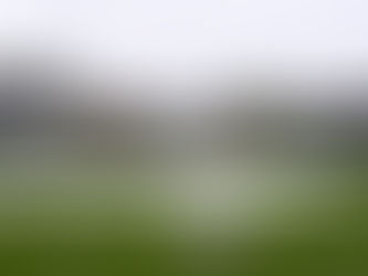 Black Caps continue to struggle as rain halts play