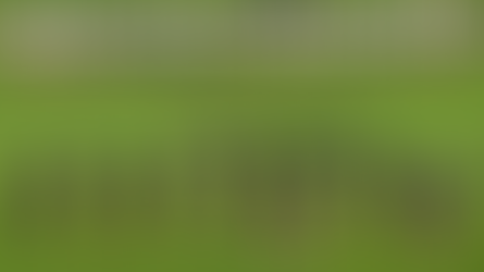 Black Ferns to face Wallaroos on ANZAC Day