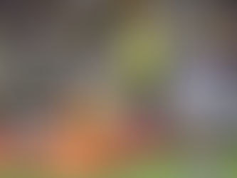 Wellington Phoenix name venue for A-League semi