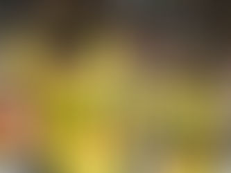 Wellington Phoenix still have plenty to play for