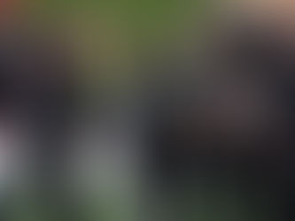 White Ferns claim ODI series over South Africa