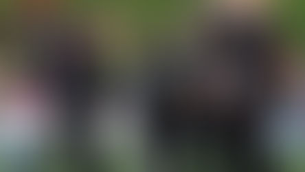 White Ferns claim ODI series over South Africa