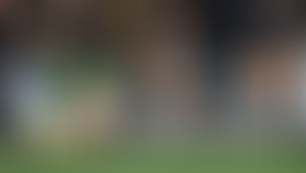 Shannon Frizell to return to rugby in New Zealand