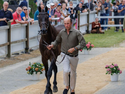 Top ranked Tim Price looking for win in Germany