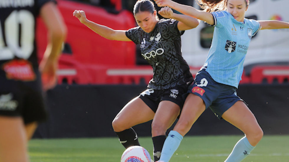 Jaber moves on from Wellington Phoenix