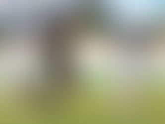 South Island United score injury time winners