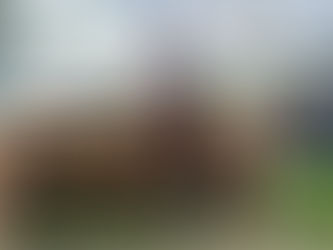 Kiwi riders aiming for titles in Kentucky