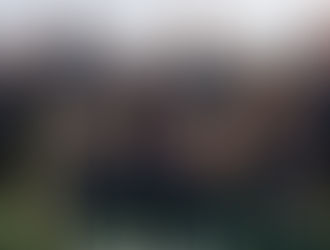 Kiwi golfers take all titles at Australian event