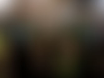 Central Districts beat Cantabs for Ford Trophy