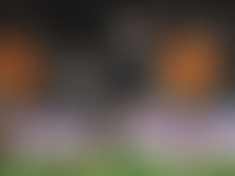 Roigard staying with New Zealand Rugby