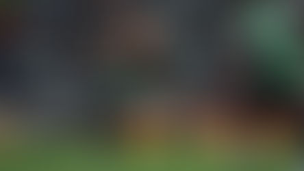 Chiefs, Highlanders score wins in Super round