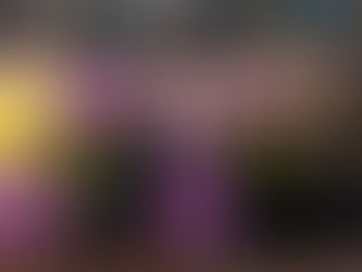 Phoenix women determined to return strong