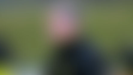 Chris Greenacre new Phoenix interim coach