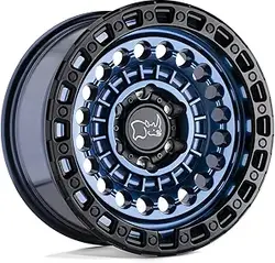 71It3pUWQ2L._AC_SY300_SX300_QL70_FMwebp_