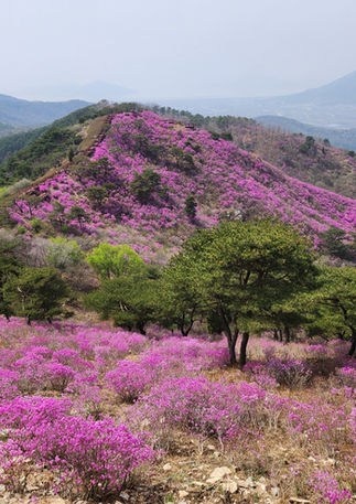 KakaoTalk_20250827_142245749