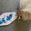 Thumbnail: Two sided motel keychains with fake fur Pom poms.