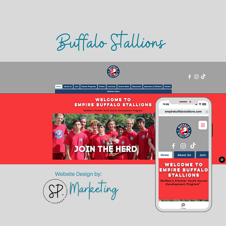 Buffalo Stallions Soccer-website