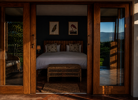 ibogaine-healing-bedroom.png