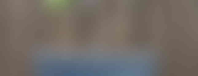 オリーブが学べる講座