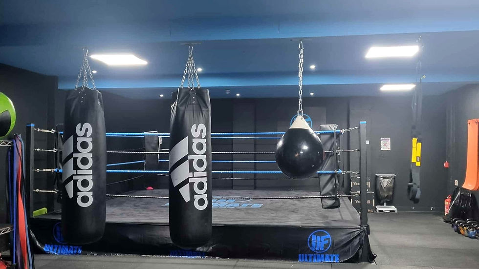 ultimate_boxing_01_16x9.jpg