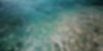 Maldives no.3