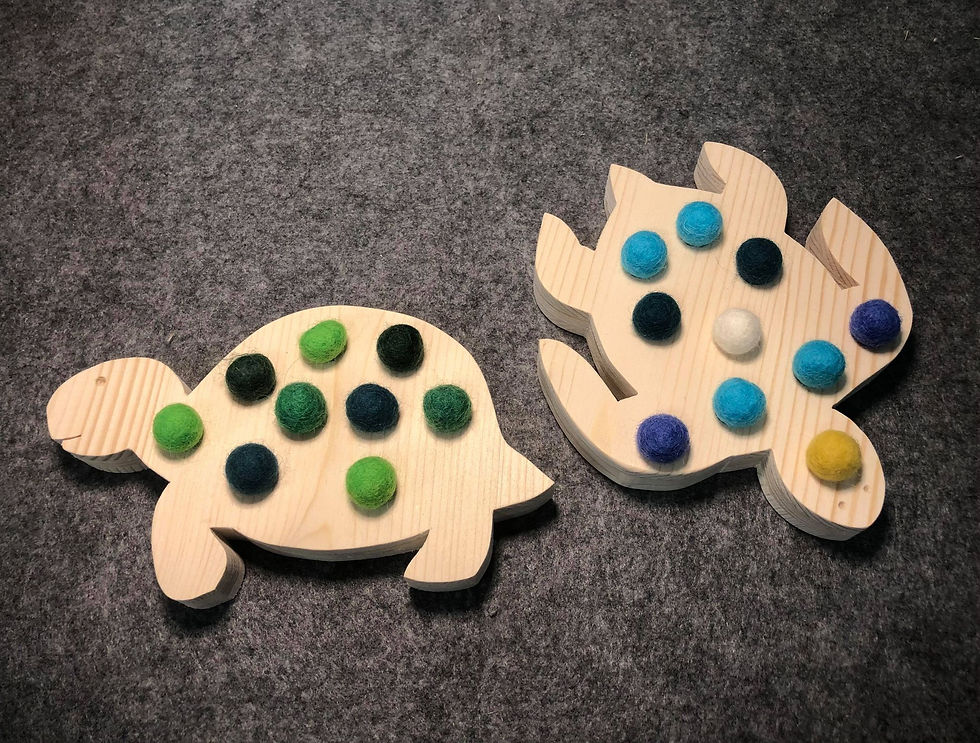 Miniature : Tortue marine/terrestre