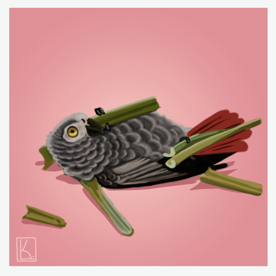 parrot_flat_2.png