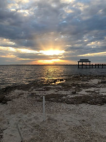 image5.jpeg