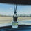 Thumbnail: Sage & Co. Car Diffusers 