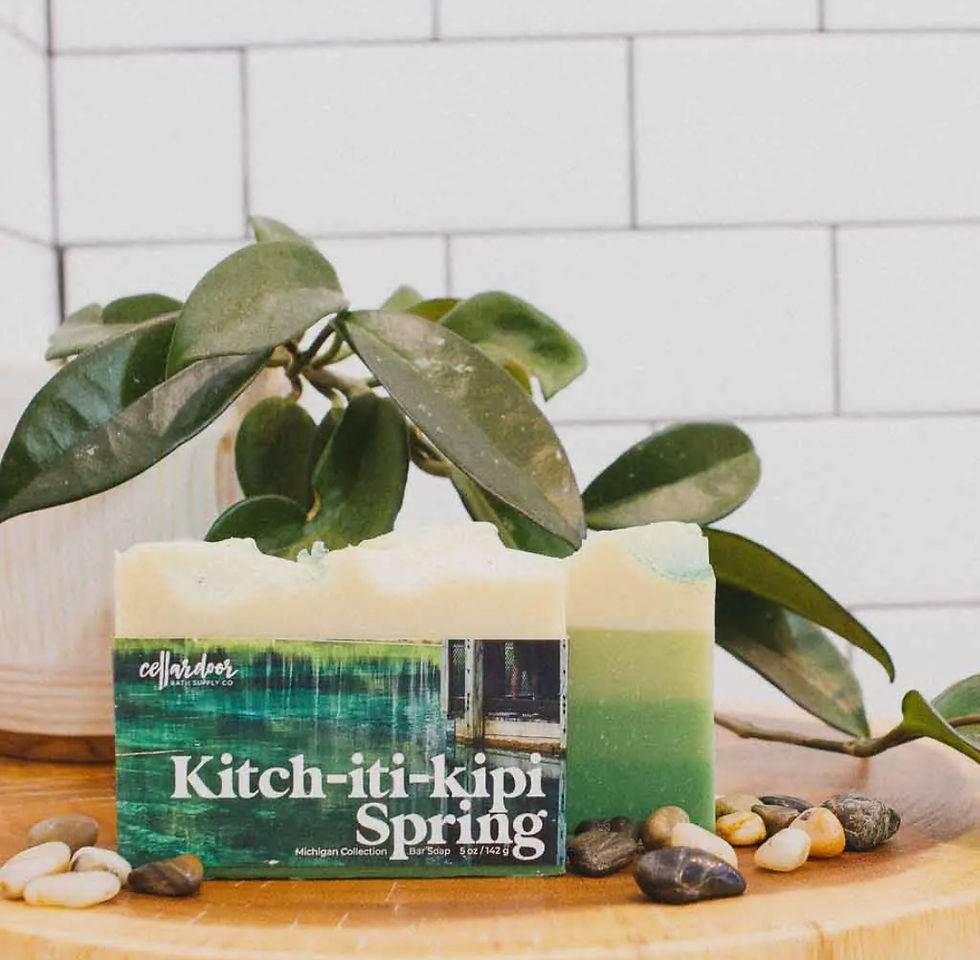 Kitch-iti-kipi Spring