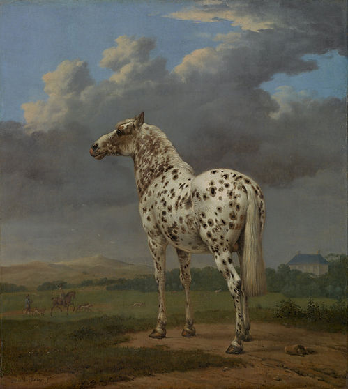 Paulus Potter : het gevlekte paard