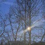 IMG-3313.jpg