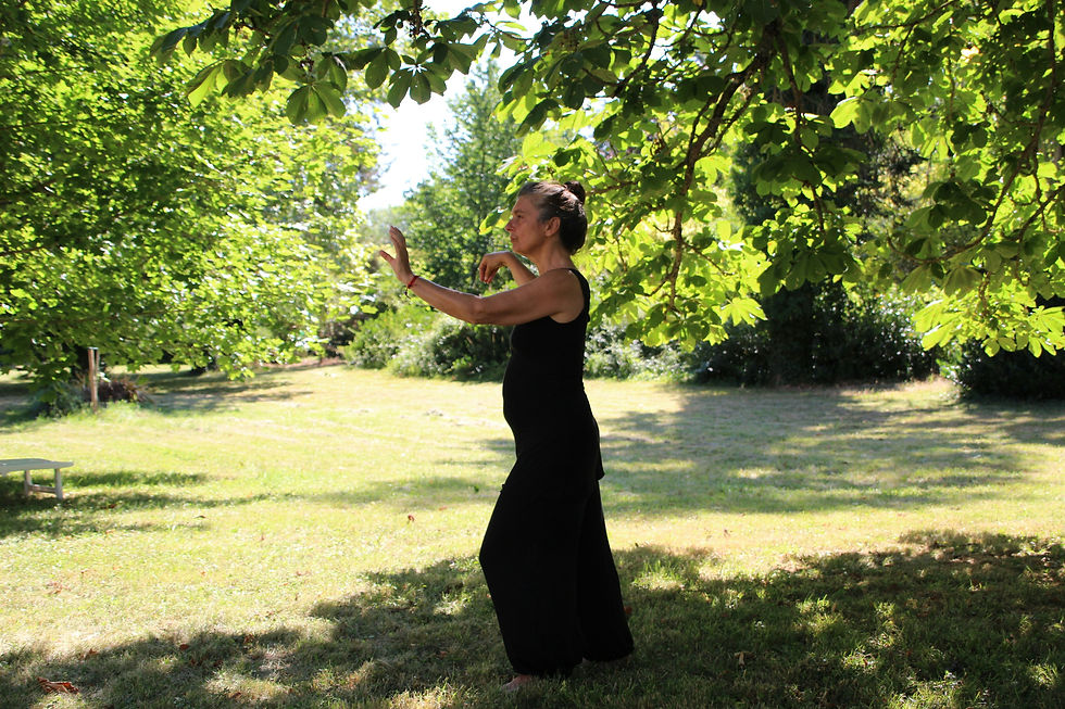 V dotyku s tai-chi a čchi-kung v zahradě Vily Lanna Praha 6